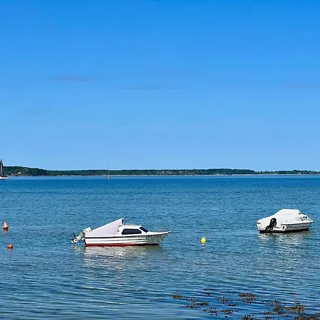 Dornroeschen 2 Steinberg (Schleswig-Holstein)