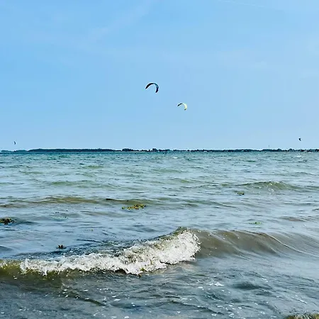 Dornroeschen 2