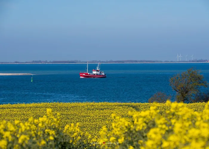 Apartament Dornroeschen 2 *